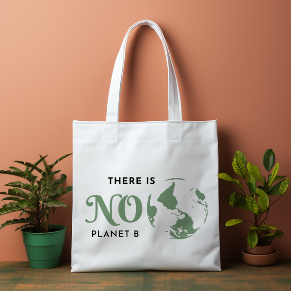 There is No Planet B Canvas Bag